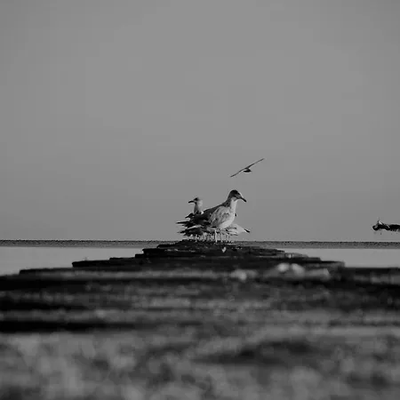 Flauta Ośrodek wypoczynkowy *