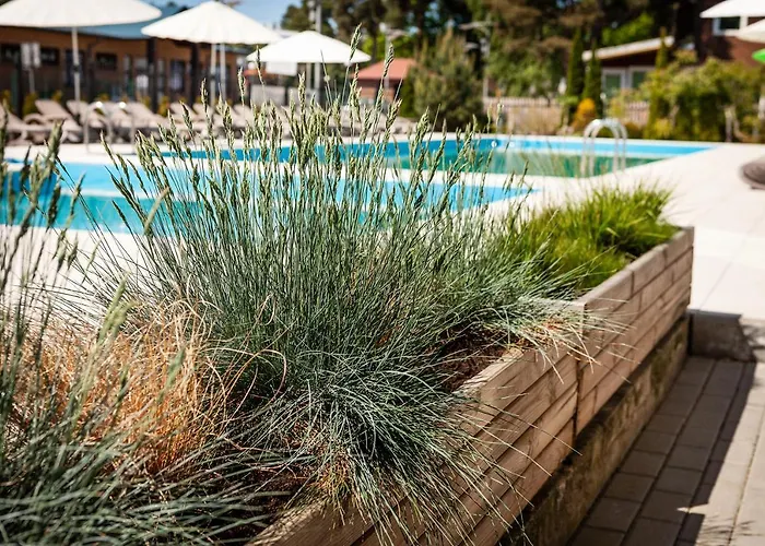 Ośrodek wypoczynkowy Flauta